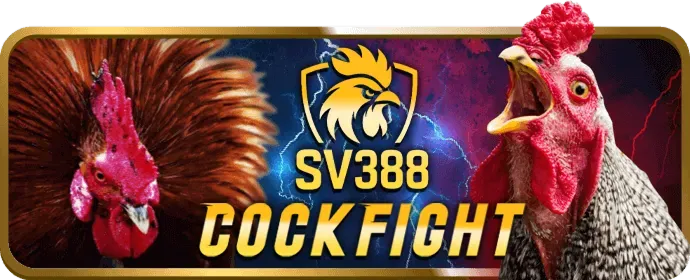 Hoàn trả thể thao ku3933 win